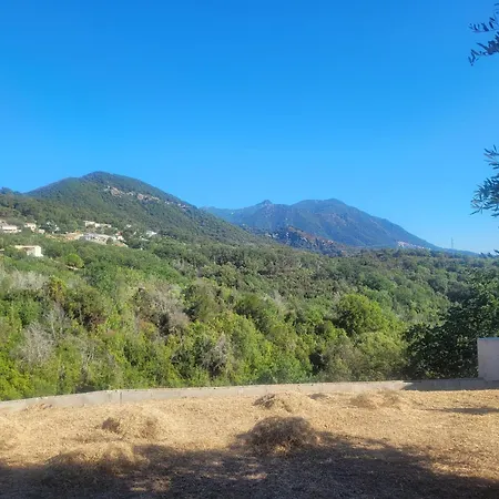 Appartement En Corse *